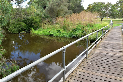 Barwon River Walk