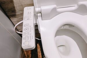 bidet toilet seat