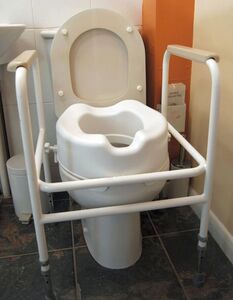 raised toilet seat