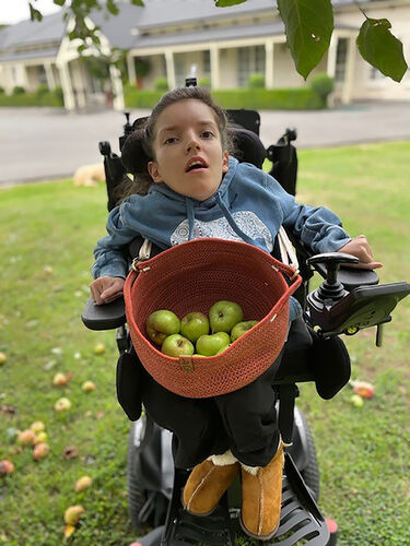 Using her power wheelchair to collect apples from the family+39s trees