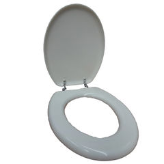 Allure Glow in the Dark Toilet Seat