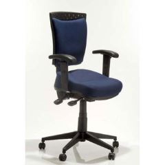 Back Care Elite Pro Chair