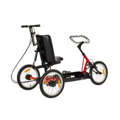 Trivel T250 Adaptive Trike